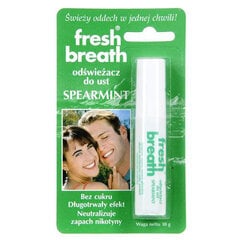 Mėtų skonio burnos gaiviklis Fresh Breath, 10 g цена и информация | Зубные щетки, пасты | pigu.lt