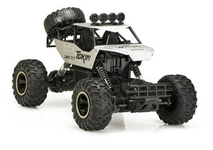 Rc rock crawler 1:12 4wd metal, серебристый цвет цена и информация | Игрушки для мальчиков | pigu.lt