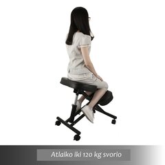 Ergonomiška kėdė Vevor, juoda цена и информация | Офисные кресла | pigu.lt