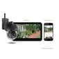 Wi-Fi kamera Motorola Focus 73 цена и информация | Stebėjimo kameros | pigu.lt