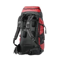 Turistinė Kuprinė Fjord Nansen, 32 L, raudona цена и информация | Туристические, походные рюкзаки | pigu.lt
