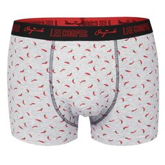 Trumpikės vyrams Lee Cooper, įvairių spalvų, 5 vnt. цена и информация | Мужские трусы | pigu.lt