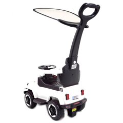 Vienvietis vaikiškas elektromobilis Super Toys TC219, baltas kaina ir informacija | Elektromobiliai vaikams | pigu.lt