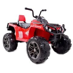 Vaikiškas akumuliatorinis keturratis Super Toys Quad LB8868, raudonas цена и информация | Электромобили для детей | pigu.lt