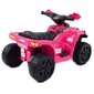 Vaikiškas akumuliatorinis keturratis Super Toys Quad Great N116, rožinis цена и информация | Elektromobiliai vaikams | pigu.lt