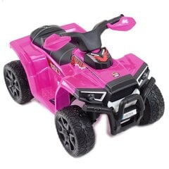 Vaikiškas akumuliatorinis keturratis Super Toys Quad Great N116, rožinis kaina ir informacija | Elektromobiliai vaikams | pigu.lt