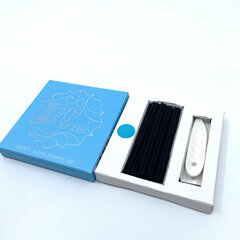 Japoniški smilkalai su smilkaline Feng Shui Mint Work power up, Baieido, 20 vnt. kaina ir informacija | Namų kvapai | pigu.lt
