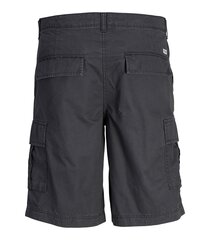 Детские джинсовые шорты Jack & Jones 12253814*01 5715508746590, серые цена и информация | Мужские шорты | pigu.lt