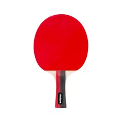 набор ракеток для настольного тенниса rebel active с сеткой цена и информация | Rebel Спорт, досуг, туризм | pigu.lt