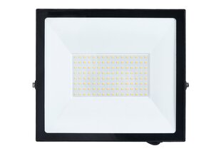 LED prožektorius, halogeninis Tiga 100W, juodas, neutraliai baltas (4000K) kaina ir informacija | Žibintuvėliai, prožektoriai | pigu.lt