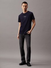 Marškinėliai vyrams Calvin Klein Jeans, mėlyni kaina ir informacija | Vyriški marškinėliai | pigu.lt