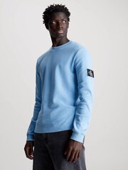 Marškiniai vyrams Calvin Klein Jeans, mėlyni kaina ir informacija | Vyriški marškinėliai | pigu.lt