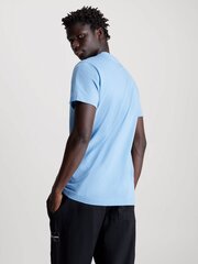 Мужская футболка Calvin Klein Jeans, синяя цена и информация | Мужские футболки | pigu.lt
