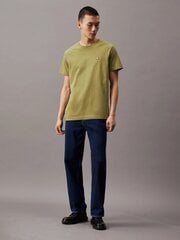Marškinėliai vyrams Calvin Klein Jeans, žali kaina ir informacija | Vyriški marškinėliai | pigu.lt