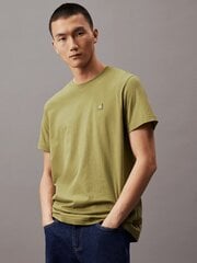 Marškinėliai vyrams Calvin Klein Jeans, žali kaina ir informacija | Vyriški marškinėliai | pigu.lt