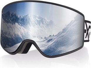 Slidinėjimo akiniai EXP Vision, pilki kaina ir informacija | Slidinėjimo akiniai | pigu.lt