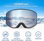 Slidinėjimo akiniai EXP Vision, pilki цена и информация | Slidinėjimo akiniai | pigu.lt