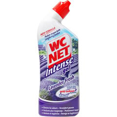 WC Net wc valiklis, 750 ml kaina ir informacija | Valikliai | pigu.lt