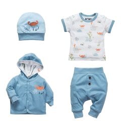 Комплект для мальчика Nini, BB-36 цена и информация | Комплекты одежды для новорожденных | pigu.lt