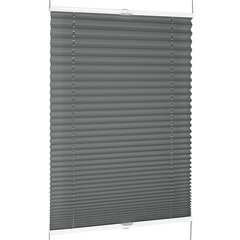 Plisuotos žaliuzės Bojanek Easyfix Pro pilka 98x160 cm цена и информация | Рулонные шторы | pigu.lt