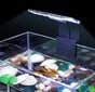 LED akvariumo lempa GZ, 13x12x8 cm kaina ir informacija | Akvariumai ir jų įranga | pigu.lt