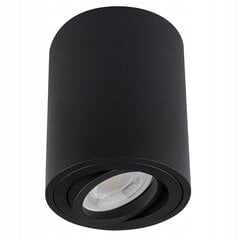 Потолочный светильник Led-lux АЛ-618 цена и информация | Потолочные светильники | pigu.lt
