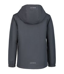 Icepeak детская софтшелл- куртка Kline 51897-4*270, серый/салатовый 6438549510096 цена и информация | Куртки для мальчиков | pigu.lt