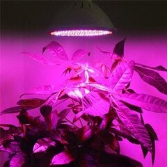 Лампа для растений красно-синяя 200 LED 20W цена и информация | Проращиватели, лампы для растений | pigu.lt