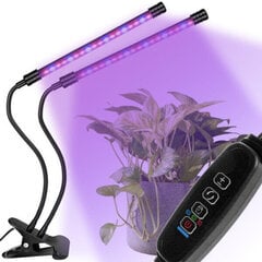 Augalų auginimo lempa BERIMAX "YT-45" 20 W, 40 LED kaina ir informacija | Daigyklos, lempos augalams | pigu.lt