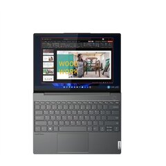 Lenovo ThinkBook 13x G2 IAP (21AT003MMH) цена и информация | Ноутбуки | pigu.lt