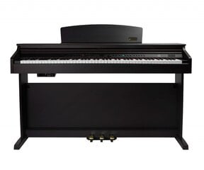 Цифровое пианино Artesia DP-10E цена и информация | Клавишные музыкальные инструменты | pigu.lt