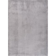 Kilimas (80 x 150) Vitrin - Grey цена и информация | Ковры | pigu.lt