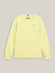Džemperis berniukams Tommy Hilfiger, geltonas kaina ir informacija | Megztiniai, bluzonai, švarkai berniukams | pigu.lt
