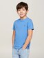 Marškinėliai berniukams Tommy Hilfiger, mėlyni kaina ir informacija | Marškinėliai berniukams | pigu.lt