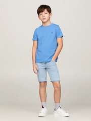 Футболка TOMMY HILFIGER Essential Cotton Reg Fit Tee Ss KB0KB06879C30 540125613 цена и информация | Рубашки для мальчиков | pigu.lt