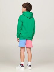Džemperis berniukams Tommy Hilfiger, žalias kaina ir informacija | Megztiniai, bluzonai, švarkai berniukams | pigu.lt