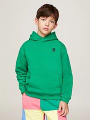 Džemperis berniukams Tommy Hilfiger, žalias kaina ir informacija | Megztiniai, bluzonai, švarkai berniukams | pigu.lt