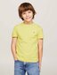 Marškinėliai berniukams Tommy Hilfiger, geltoni kaina ir informacija | Marškinėliai berniukams | pigu.lt