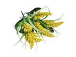 Dirbtinių gėlių puokštė Gipsofila цена и информация | Dirbtinės gėlės | pigu.lt