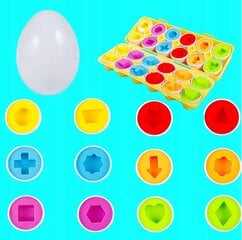 Edukaciniai Montessori Kiaušiniai, 24 d. kaina ir informacija | Lavinamieji žaislai | pigu.lt
