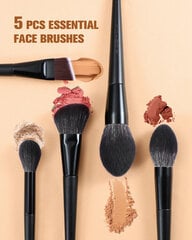 Eigshow Beauty Набор из 19 профессиональных кистей для макияжа King Knight с футляром для кистей цена и информация | Кисти для макияжа, спонжи | pigu.lt