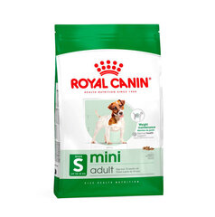 Royal Canin Mini Adult suaugusiems mažų veislių šunims, 2 kg kaina ir informacija | Sausas maistas šunims | pigu.lt