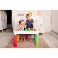 Столик+2 стула Tega Baby Multifun MF-006-106 Grey цена и информация | Детские столы и стулья | pigu.lt