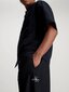 Kelnės vyrams Calvin Klein Jeans, juodos kaina ir informacija | Vyriškos kelnės | pigu.lt