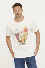 Marškinėliai vyrams Lee Cooper S563, balti kaina ir informacija | Vyriški marškinėliai | pigu.lt