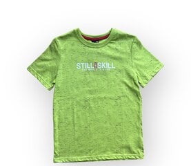 Marškinėliai berniukams, žali kaina ir informacija | Marškinėliai berniukams | pigu.lt