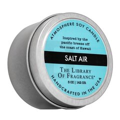 Kvapioji žvakė The Library Of Fragrance Salt Air, 142 g цена и информация | Подсвечники, свечи | pigu.lt