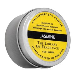 The Library Of Fragrance Jasmine 142 g цена и информация | Подсвечники, свечи | pigu.lt