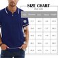 Polo marškinėliai vyrams Remxi, mėlyni kaina ir informacija | Vyriški marškinėliai | pigu.lt