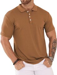 Polo marškinėliai vyrams Plilima, rudi kaina ir informacija | Vyriški marškinėliai | pigu.lt